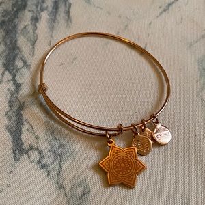 Alex and ani chakra bangle